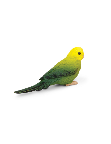 Figurine Perruche Ondulée Verte – Oiseaux Exotiques | Safari Ltd®