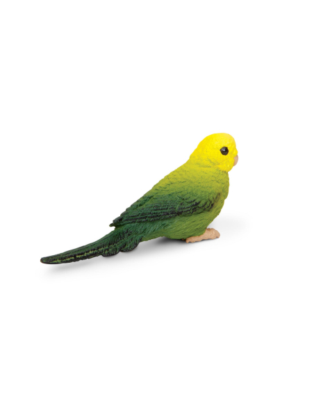 Figurine Perruche Ondulée Verte – Oiseaux Exotiques | Safari Ltd®