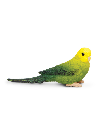 Figurine Perruche Ondulée Verte – Oiseaux Exotiques | Safari Ltd®