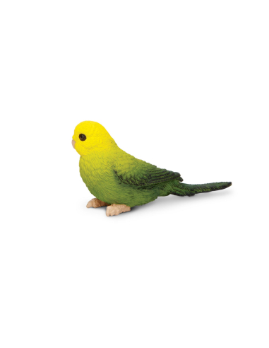 Figurine Perruche Ondulée Verte – Oiseaux Exotiques | Safari Ltd®