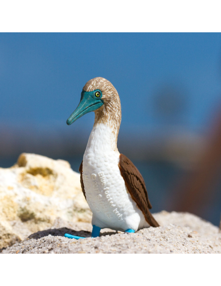 Figurine oiseau fou à pieds bleus Safari 150529