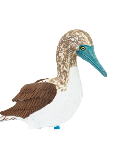 Figurine oiseau fou à pieds bleus Safari 150529