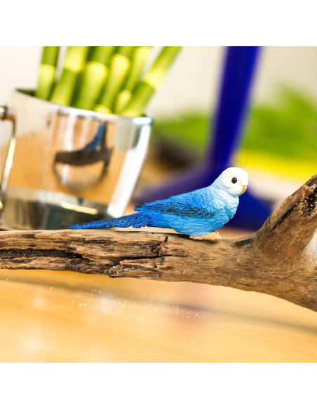 Figurine Perruche bleue – oiseau - Safari Ltd® 150629 | Jouet réaliste | Matériel pédagogiqueAnimaux Montessori