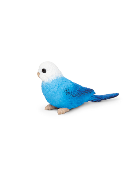 Figurine Perruche bleue – oiseau - Safari Ltd® 150629 | Jouet réaliste | Matériel pédagogiqueAnimaux Montessori