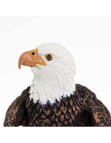 Figurine Aigle Impérial - Safari Ltd® 291129 | Jouet réaliste | Matériel pédagogiqueAnimaux Montessori