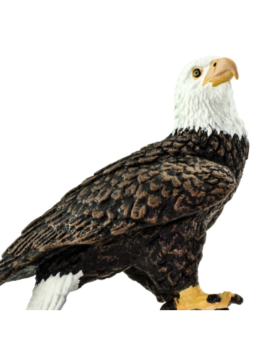 Figurine Aigle Impérial - Safari Ltd® 291129 | Jouet réaliste | Matériel pédagogiqueAnimaux Montessori