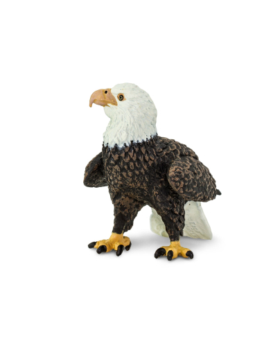 Figurine Aigle Impérial - Safari Ltd® 291129 | Jouet réaliste | Matériel pédagogiqueAnimaux Montessori