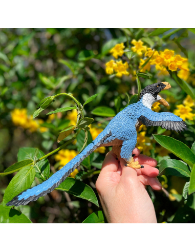 Anzu Safari Ltd 100728 | Figurine Dinosaure à Plumes | LesMinis Jouet