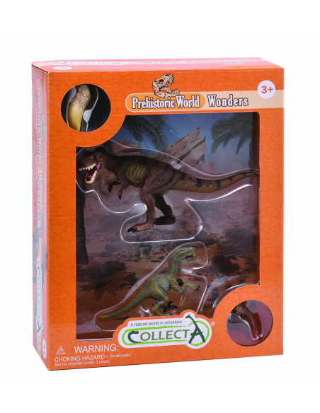 Coffret T-Rex et Velociraptor par CollectA - Figurines de dinosaures avec dents et griffes