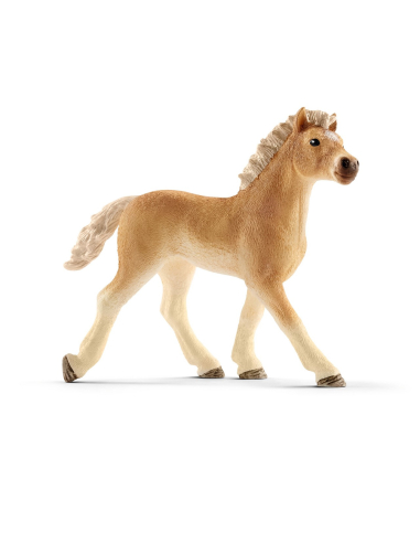 Figurine poulain Haflinger - Schleich | Figurine équestre