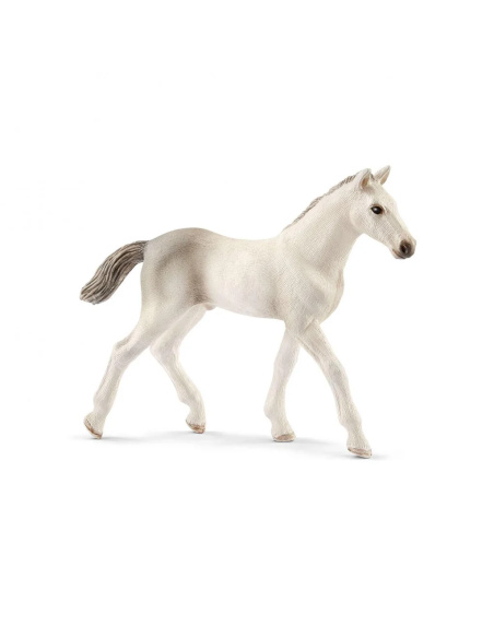 Figurine Poulain Holstein Schleich 13860 - Éveil au Monde Équestre
