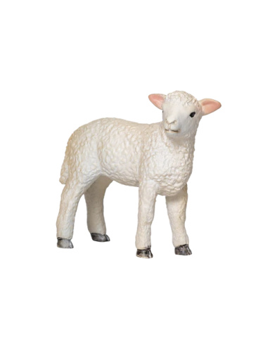 Figurine d’Agneau Romney Mojo - Animaux de la ferme Réaliste et Éducative 381065