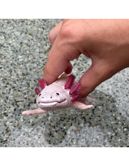 Figurine Axolotl Réaliste | Safari Ltd | Animaux Aquatiques