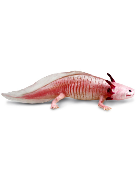 Figurine Axolotl Réaliste | Safari Ltd | Animaux Aquatiques