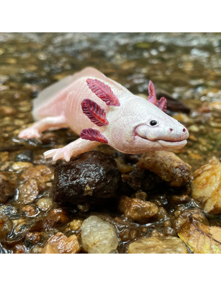 Figurine Axolotl Réaliste | Safari Ltd | Animaux Aquatiques