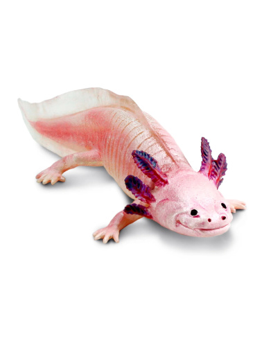 Figurine Axolotl Réaliste | Safari Ltd | Animaux Aquatiques