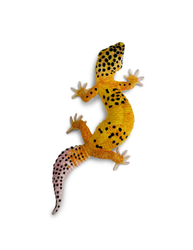Figurine de Gecko Léopard Safari Ltd - Créatures Incroyables 102504 | LesMinis