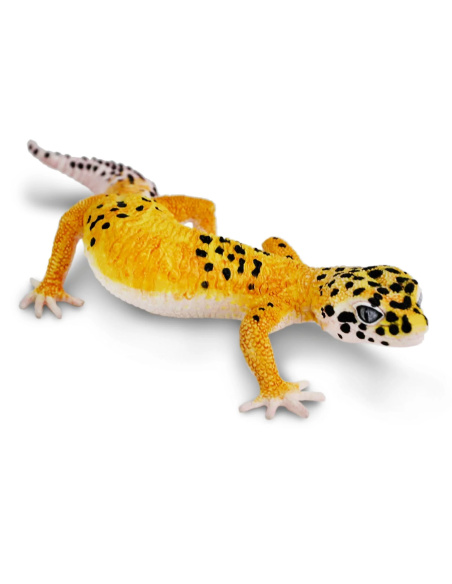 Figurine de Gecko Léopard Safari Ltd - Créatures Incroyables 102504 | LesMinis