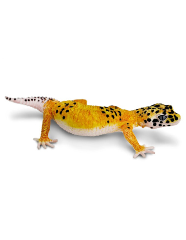 Figurine de Gecko Léopard Safari Ltd - Créatures Incroyables 102504 | LesMinis