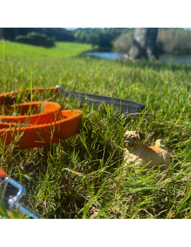 Figurine Chien Carlin Réaliste | Safari Ltd | Animaux Domestiques