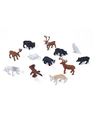 Ensemble Animaux de la Forêt Réaliste | Tube MOJO | Découverte Sensorielle