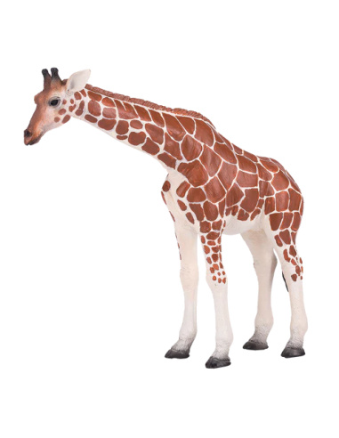 Figurine de Girafe Femelle Mojo - Réaliste et Éducative