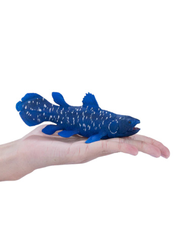 Figurine Cœlacanthe – Poisson fossile Latimeria XL – Mojo