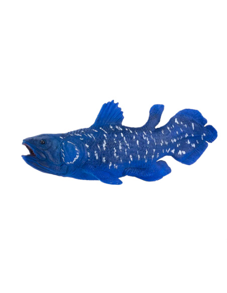 Figurine Cœlacanthe – Poisson fossile Latimeria XL – Mojo
