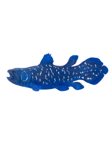 Figurine Cœlacanthe – Poisson fossile Latimeria XL – Mojo