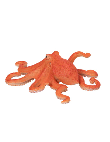 Figurine Poulpe Mojo - Plongée dans le Monde des Céphalopodes