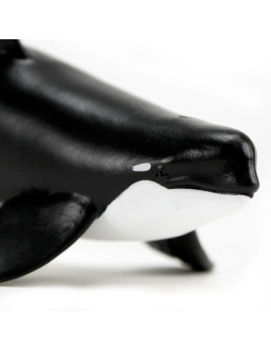 Figurine Réaliste Orca Type D - Safari Ltd | Les Minis