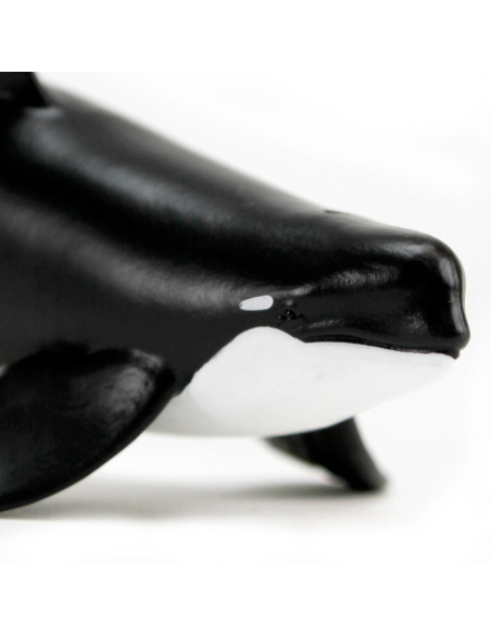 Figurine Réaliste Orca Type D - Safari Ltd | Les Minis