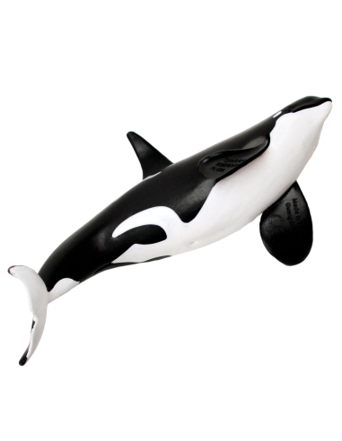 Figurine Réaliste Orca Type D - Safari Ltd | Les Minis
