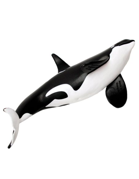 Figurine Réaliste Orca Type D - Safari Ltd | Les Minis