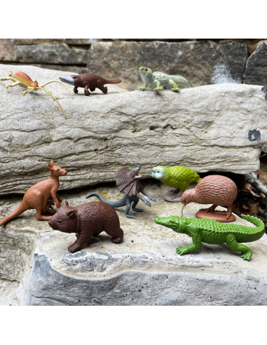 Continent Australie Safari Ltd® - Découverte de la Faune Australienne - Montessori