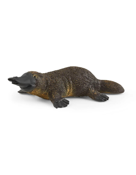 Figurine Ornithorynque Schleich - Mammifère ovipare d'Australie en jouet