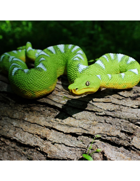 Figurine Boa Émeraude (Corallus caninus) – Reptiles Exotiques | Safari Ltd®
