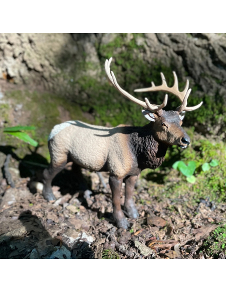 Figurine Wapiti Réaliste | Safari Ltd | Animaux de la Forêt