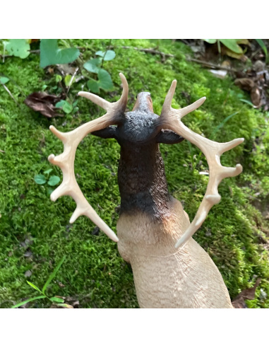 Figurine Wapiti Réaliste | Safari Ltd | Animaux de la Forêt