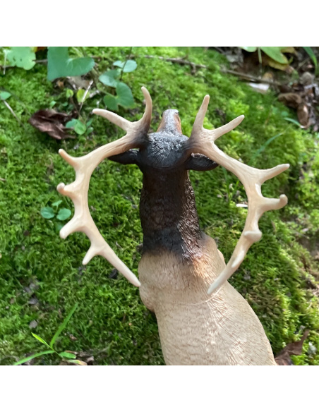 Figurine Wapiti Réaliste | Safari Ltd | Animaux de la Forêt