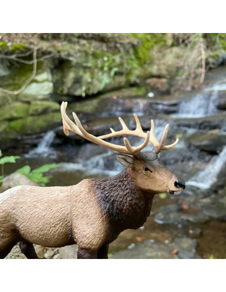 Figurine Wapiti Réaliste | Safari Ltd | Animaux de la Forêt