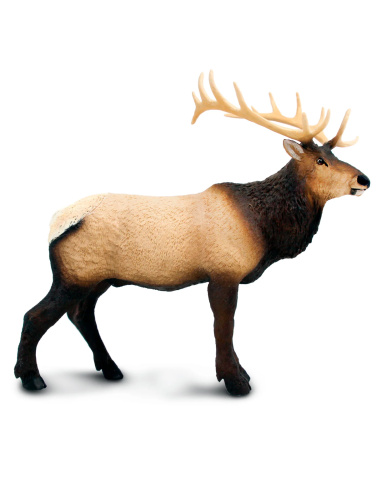 Figurine Wapiti Réaliste | Safari Ltd | Animaux de la Forêt