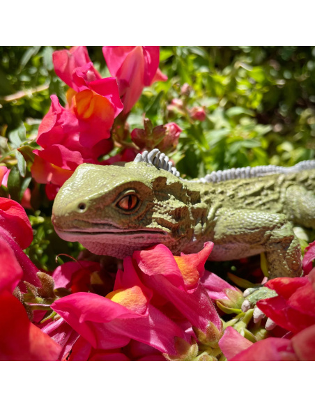 Figurine Sphénodon (Tuatara) Safari Ltd 102503 - Créatures Incroyables | LesMinis