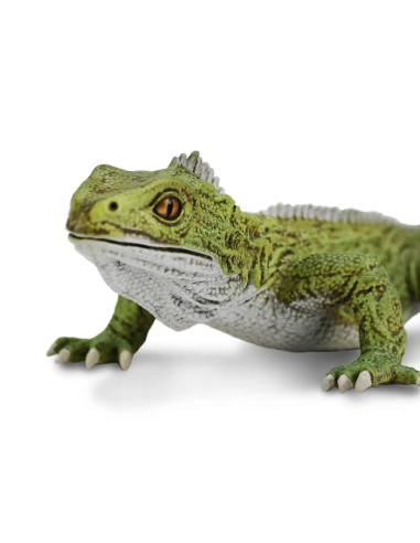 Figurine Sphénodon (Tuatara) Safari Ltd 102503 - Créatures Incroyables | LesMinis