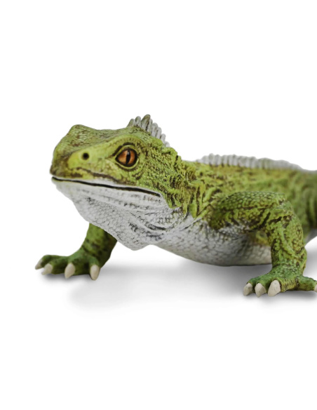 Figurine Sphénodon (Tuatara) Safari Ltd 102503 - Créatures Incroyables | LesMinis