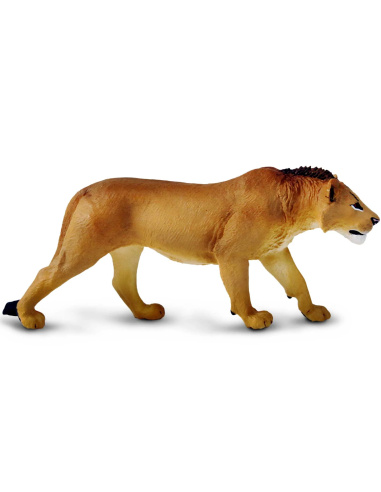 Figurine Lion Adolescent Mâle – Animaux Sauvages | Safari Ltd®