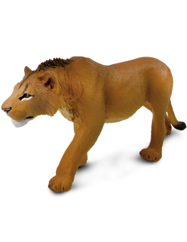 Figurine Lion Adolescent Mâle – Animaux Sauvages | Safari Ltd®