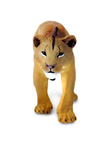 Figurine Lion Adolescent Mâle – Animaux Sauvages | Safari Ltd®