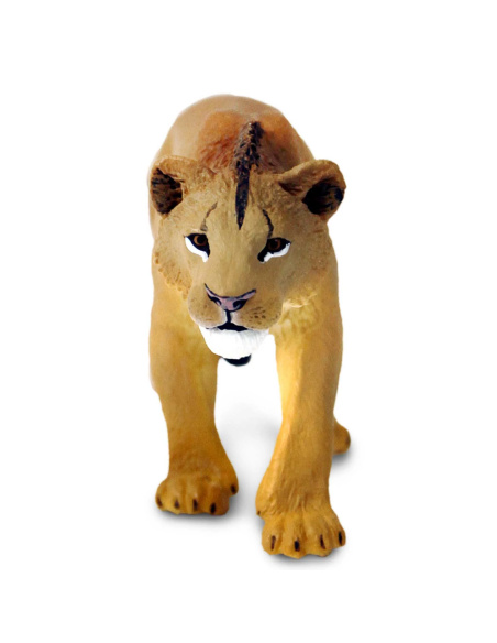 Figurine Lion Adolescent Mâle – Animaux Sauvages | Safari Ltd®
