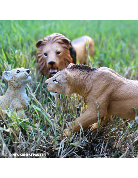 Figurine Lion Adolescent Mâle – Animaux Sauvages | Safari Ltd®